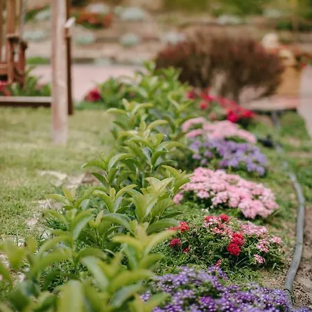 Corinthian Village فندق 3*