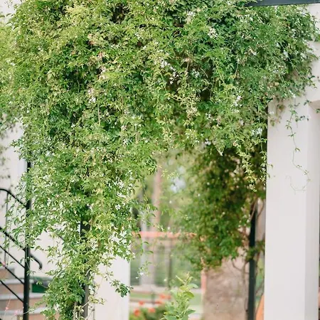 Ξενοδοχείο Corinthian Village Βραχάτι