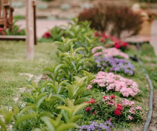 Corinthian Village 호텔 3*