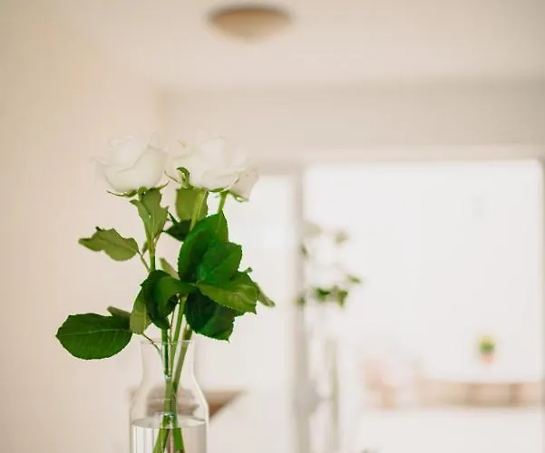 Corinthian Village 酒店 沃拉哈蒂