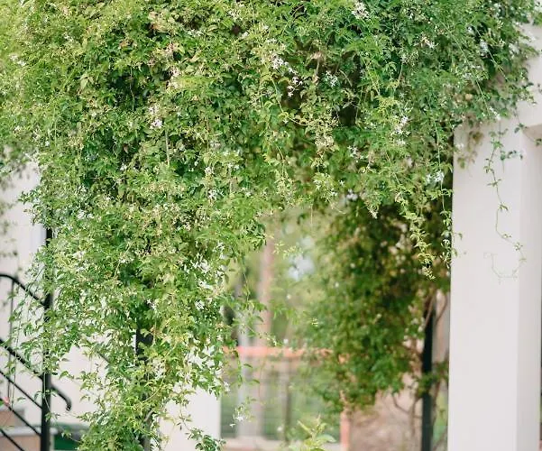 호텔 Corinthian Village 벌하티